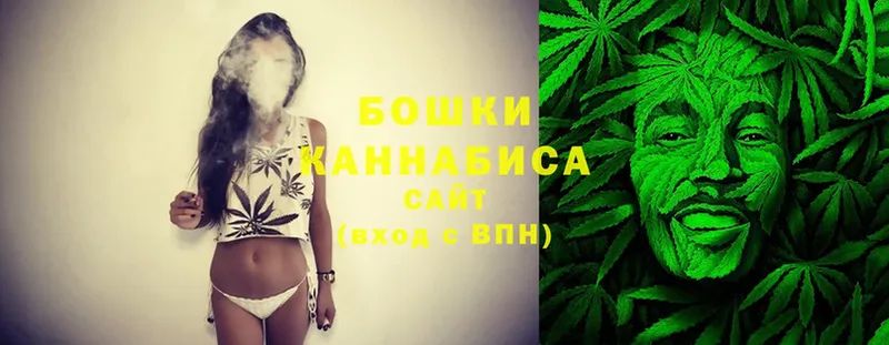 Бошки марихуана SATIVA & INDICA  Струнино 